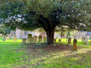 Warmington Churchyard