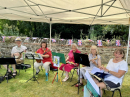 Ukelele Band